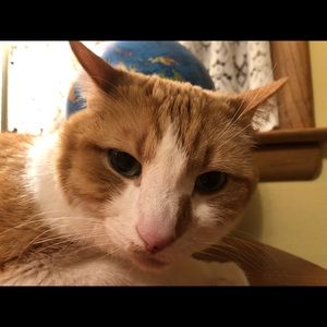 Meet your Posher, Cecily